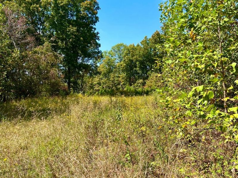 0 St Rt 348, Brushcreek Twp, OH 45657 Photo 71