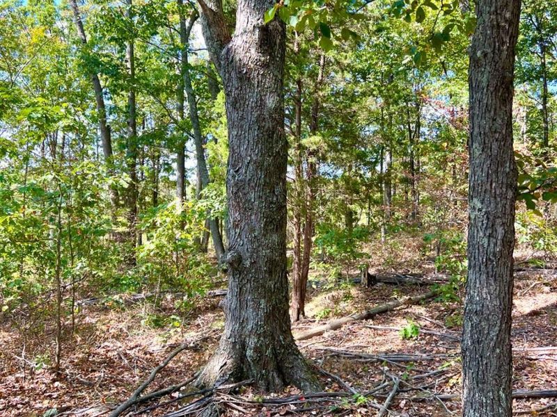 0 St Rt 348, Brushcreek Twp, OH 45657 Photo 72