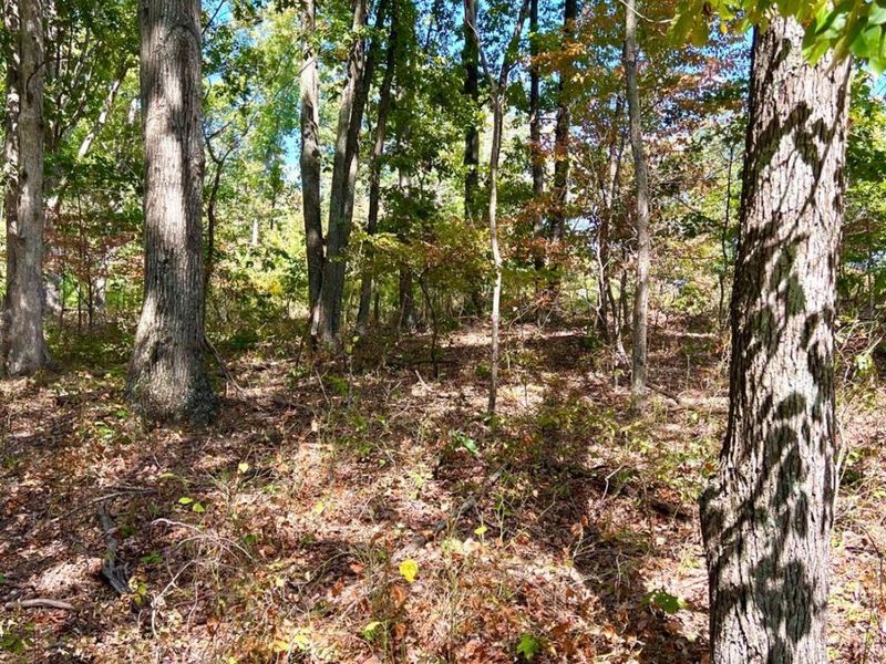 0 St Rt 348, Brushcreek Twp, OH 45657 Photo 73