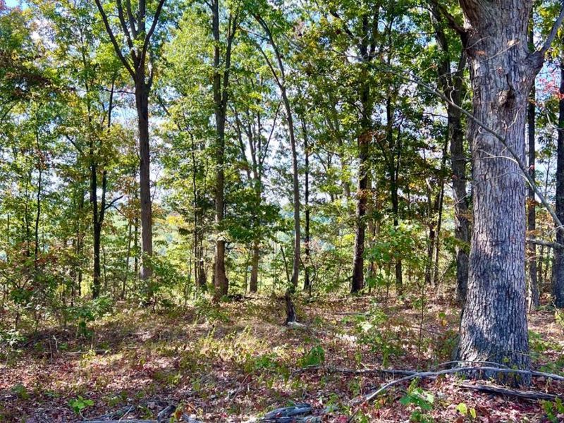 0 St Rt 348, Brushcreek Twp, OH 45657 Photo 75