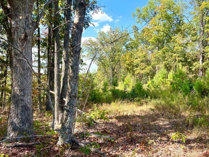 0 St Rt 348, Brushcreek Twp, OH 45657 Photo 76