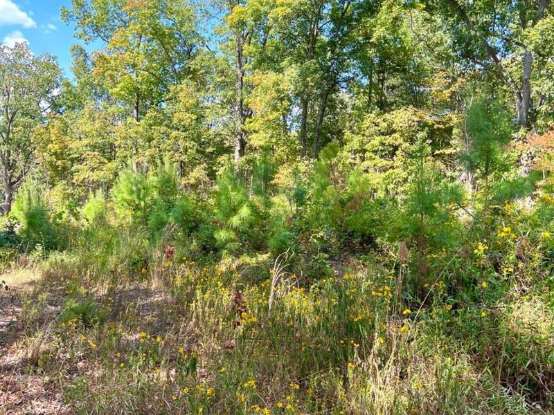 0 St Rt 348, Brushcreek Twp, OH 45657 Photo 77