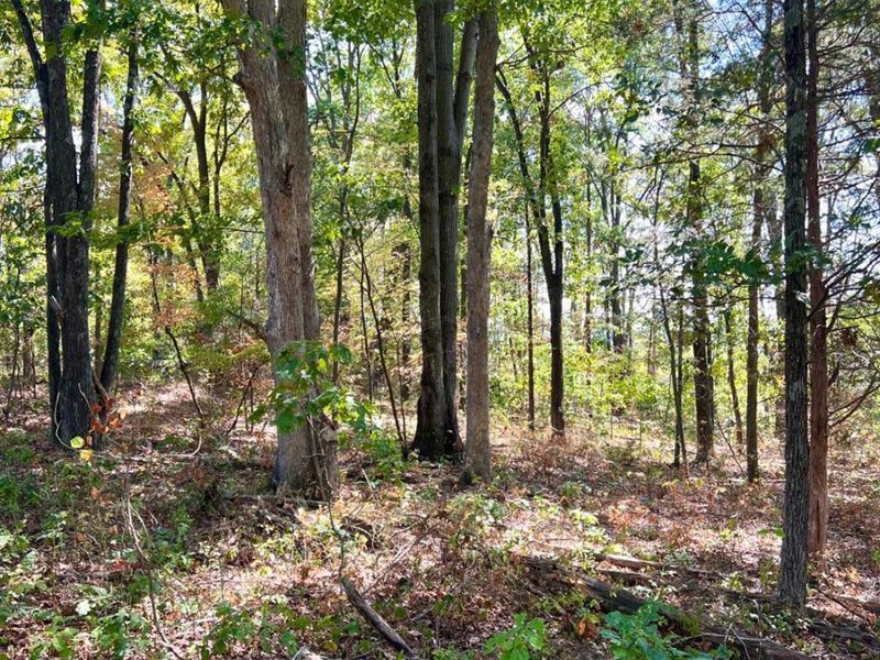 0 St Rt 348, Brushcreek Twp, OH 45657 Photo 78