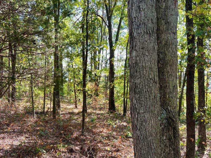 0 St Rt 348, Brushcreek Twp, OH 45657 Photo 79