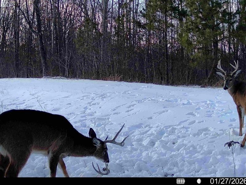 0 St Rt 348, Brushcreek Twp, OH 45657 Photo 8