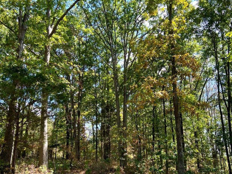 0 St Rt 348, Brushcreek Twp, OH 45657 Photo 80