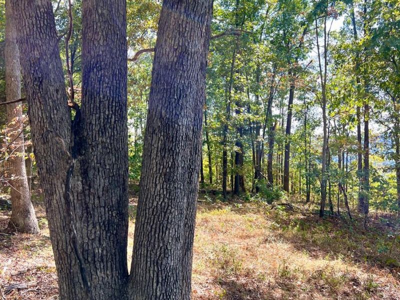 0 St Rt 348, Brushcreek Twp, OH 45657 Photo 81