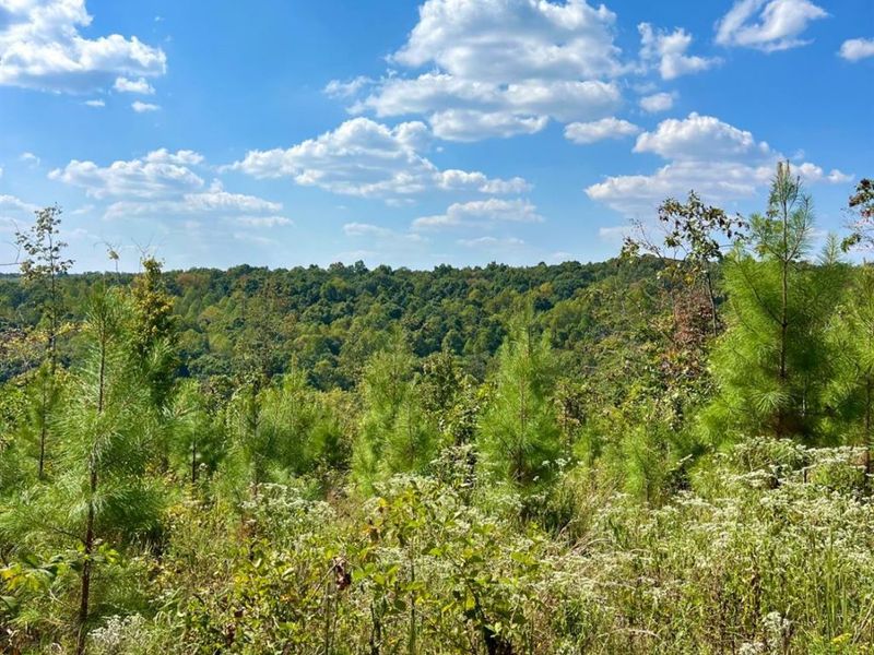 0 St Rt 348, Brushcreek Twp, OH 45657 Photo 82