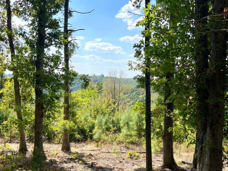 0 St Rt 348, Brushcreek Twp, OH 45657 Photo 83