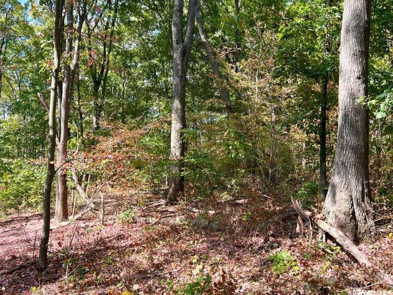 0 St Rt 348, Brushcreek Twp, OH 45657 Photo 86