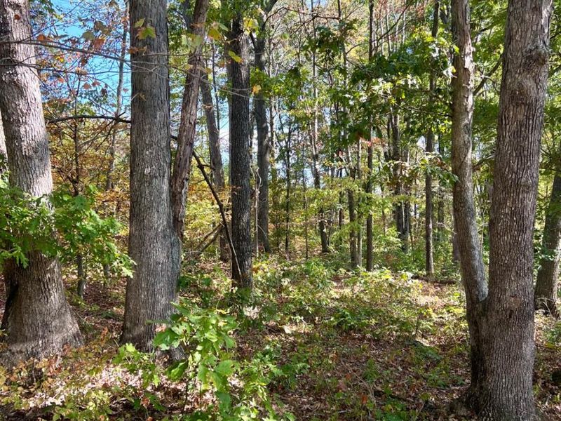 0 St Rt 348, Brushcreek Twp, OH 45657 Photo 87