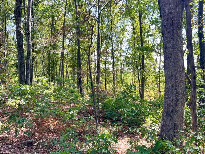 0 St Rt 348, Brushcreek Twp, OH 45657 Photo 88