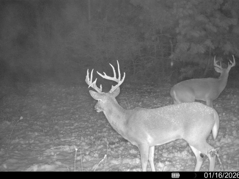 0 St Rt 348, Brushcreek Twp, OH 45657 Photo 9