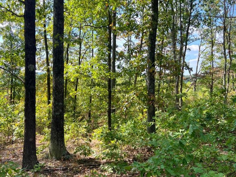 0 St Rt 348, Brushcreek Twp, OH 45657 Photo 90