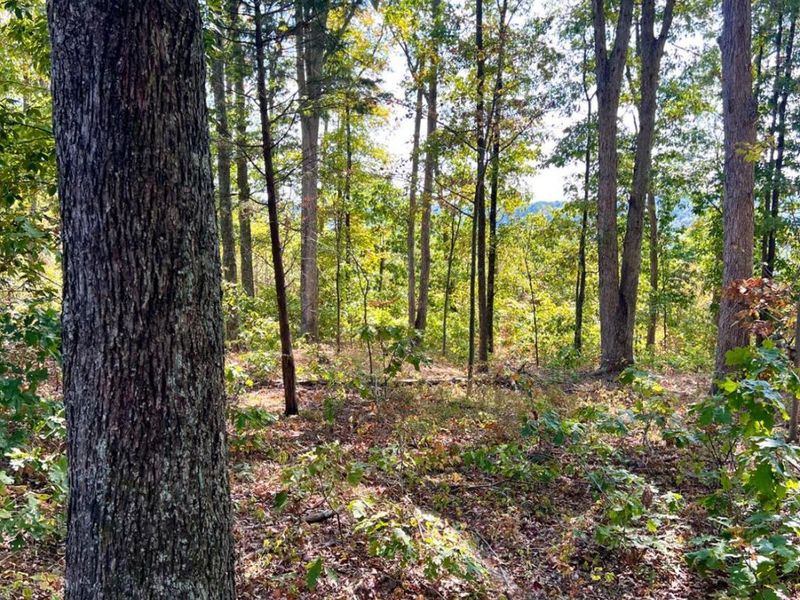 0 St Rt 348, Brushcreek Twp, OH 45657 Photo 91