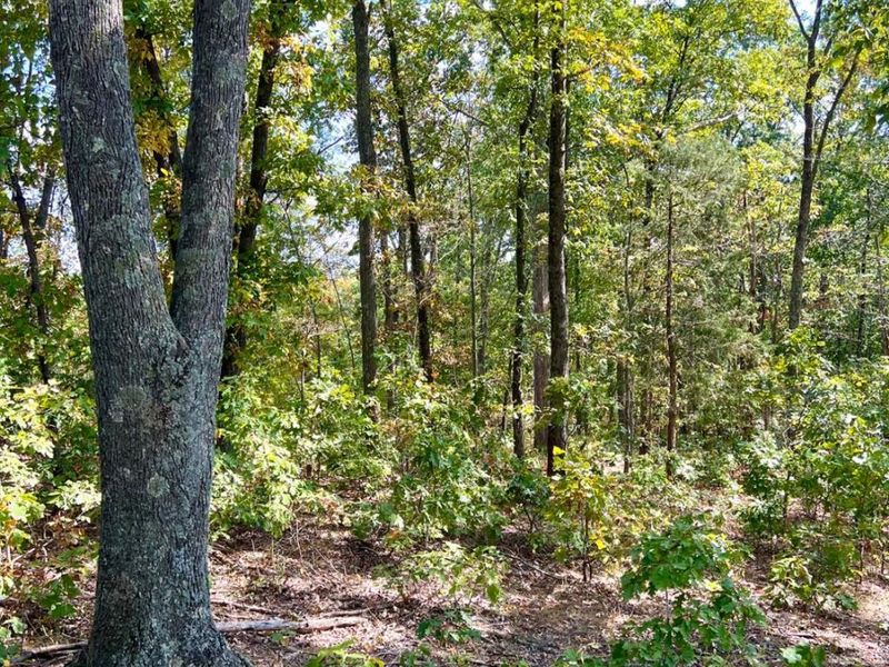 0 St Rt 348, Brushcreek Twp, OH 45657 Photo 92