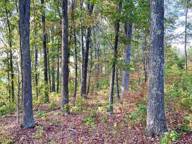 0 St Rt 348, Brushcreek Twp, OH 45657 Photo 94