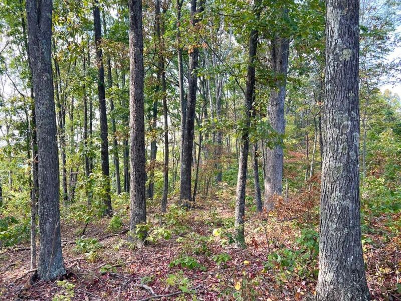 0 St Rt 348, Brushcreek Twp, OH 45657 Photo 95