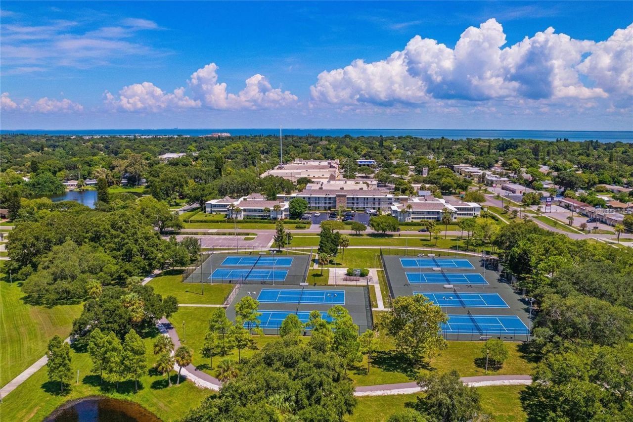 6100 12th Street S, Unit 221, Saint Petersburg, FL 33705 Photo