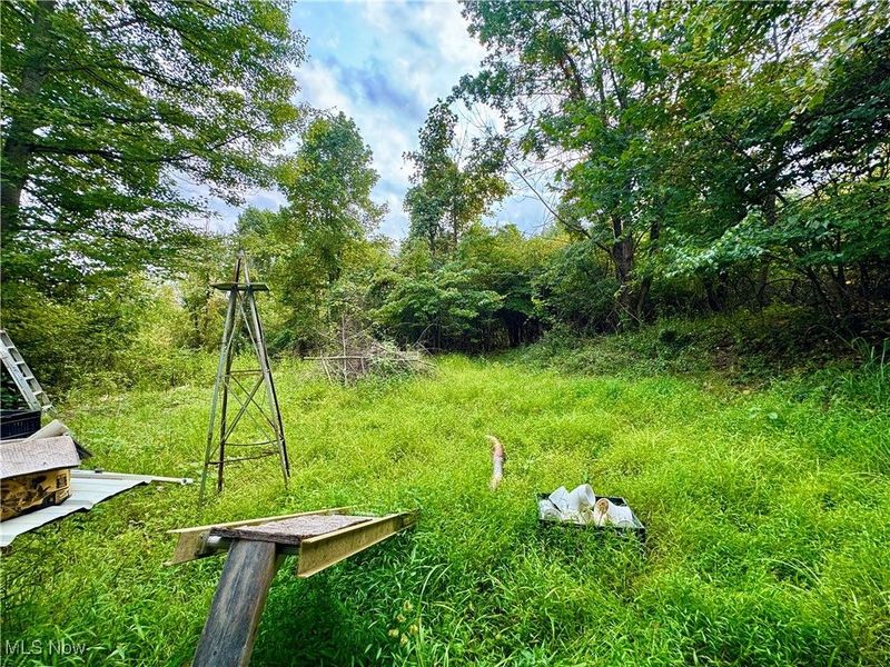 9520 Mcglade School Road, Dresden, OH 43821 Photo 4