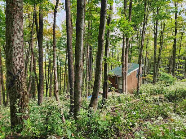 37 Rocky Road, Harman, WV 26270