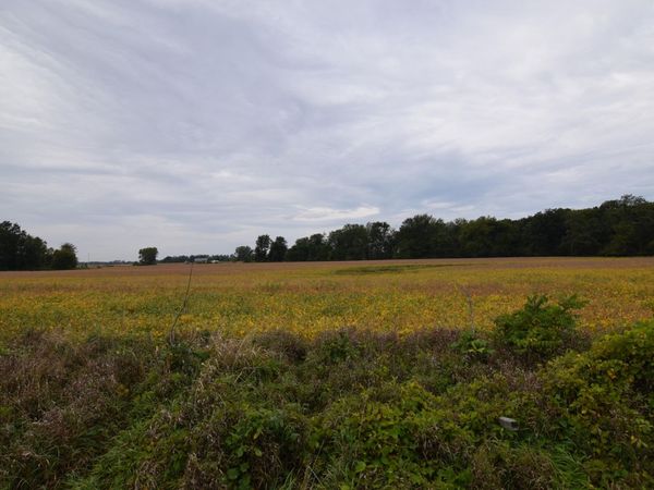 Rierson Road, Bronson, MI 49028