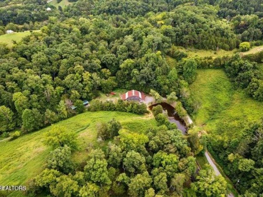 Property Image 58