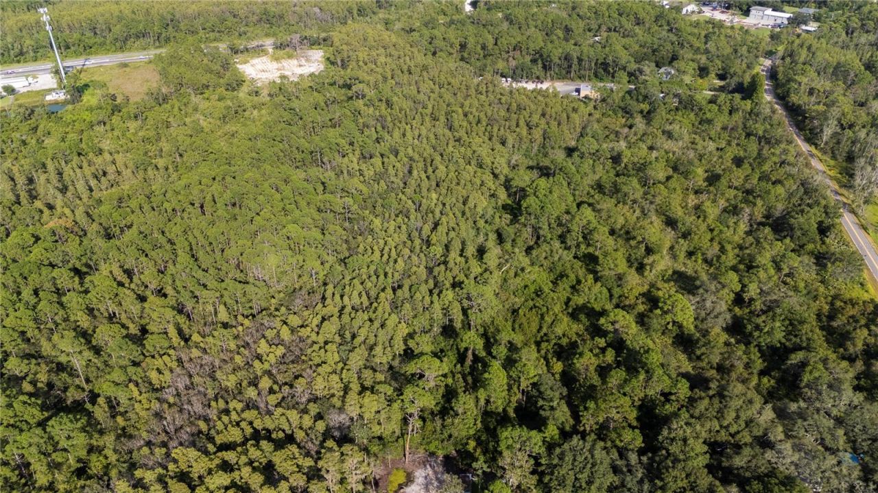 Old Polk City Road, Polk City, FL 33868 Photo