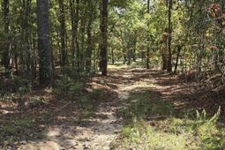 1646 Baughman Road  photo 4