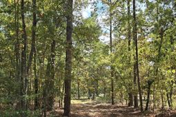 1646 Baughman Road  photo 4