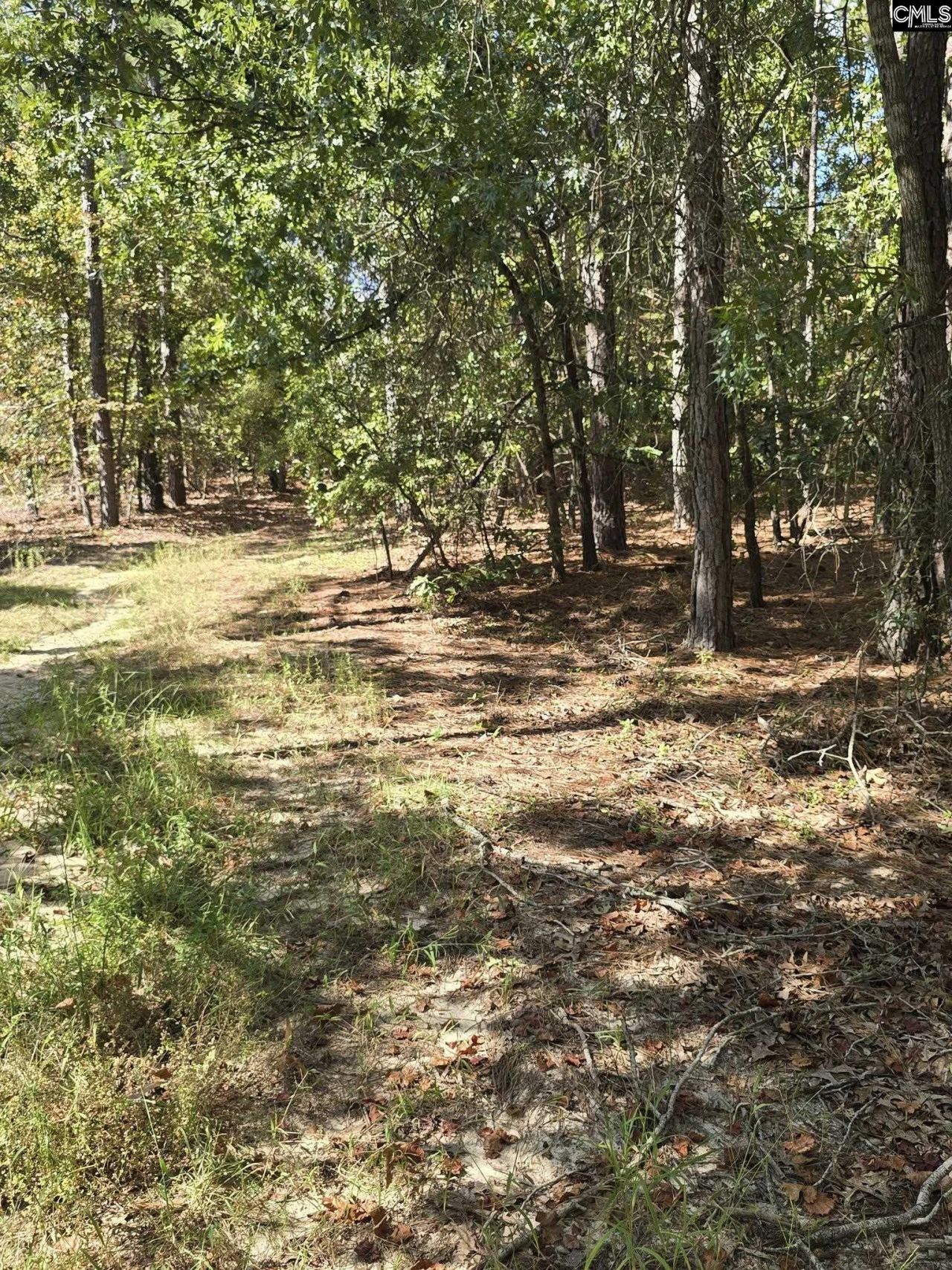 1646 Baughman Road  Photo 4