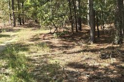 1646 Baughman Road  photo 4