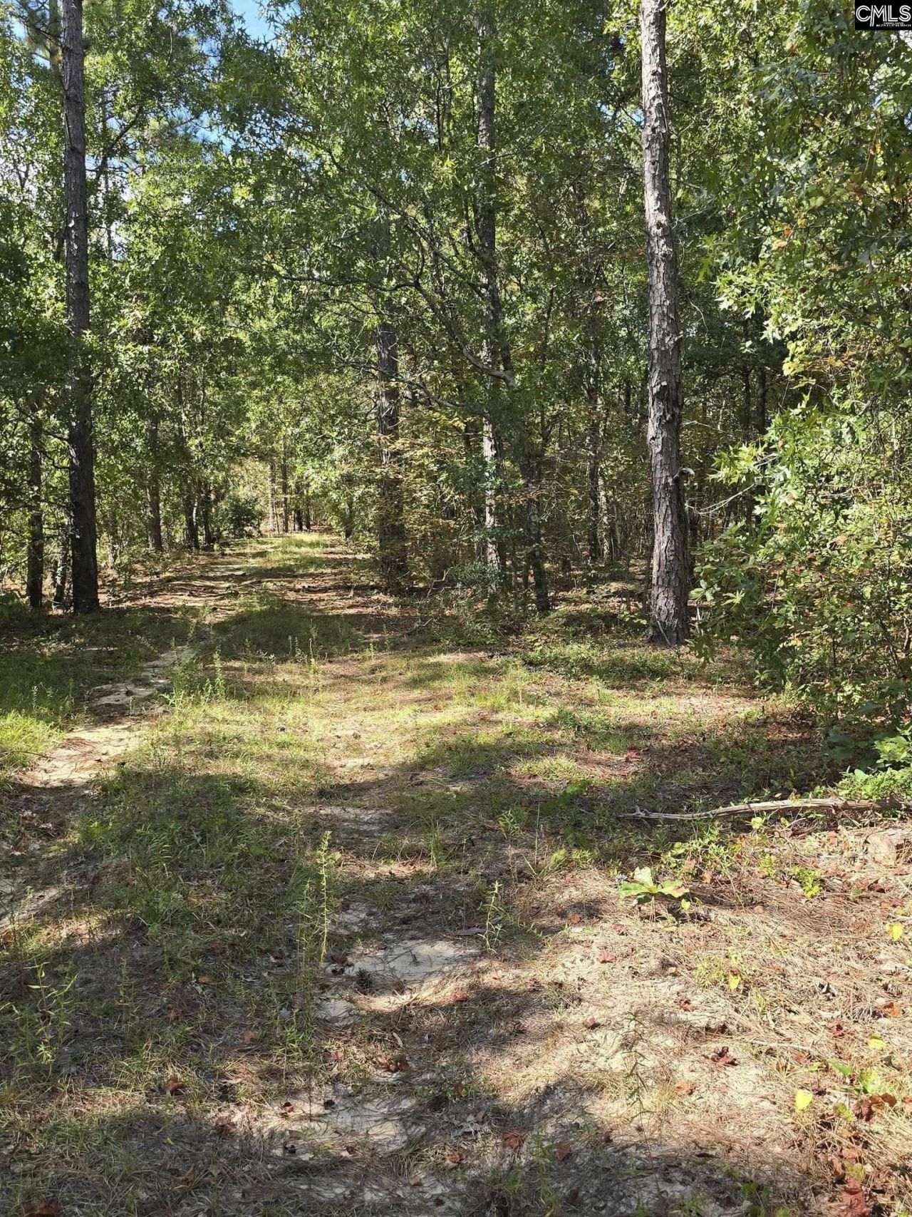 1646 Baughman Road  Photo 5