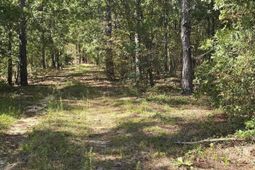 1646 Baughman Road  photo 4