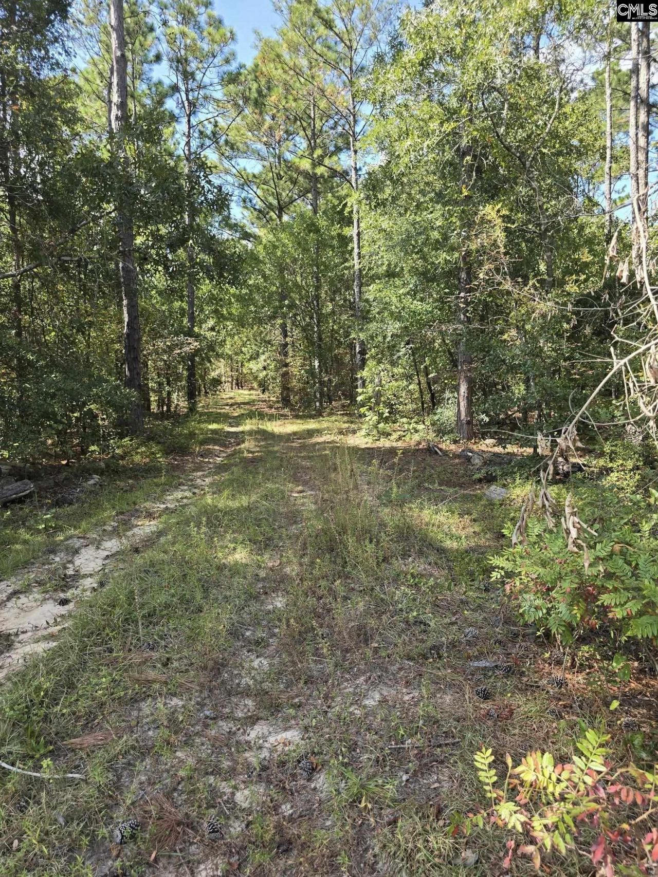 1646 Baughman Road  Photo 6