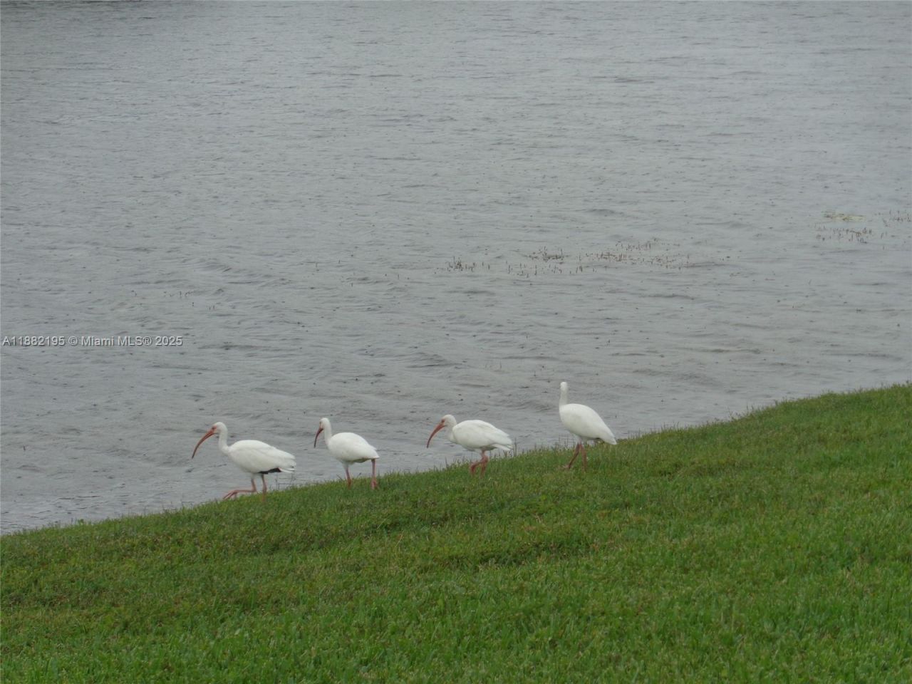 701 SW 141st Ave, Unit 412R, Pembroke Pines, FL 33027 Photo