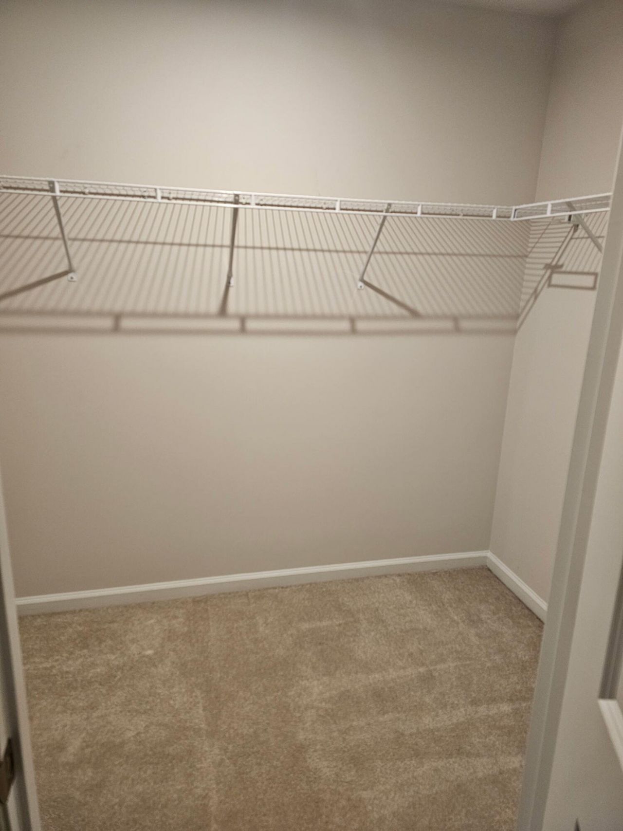 517 Mills Hill Way Photo 10