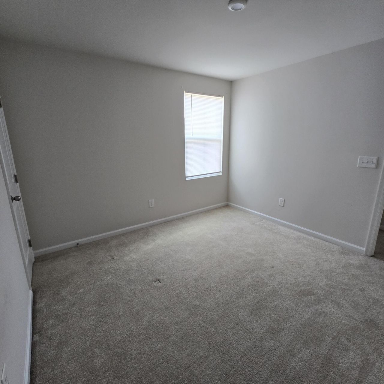 517 Mills Hill Way Photo 11