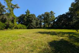 211 Cassena Street photo 4