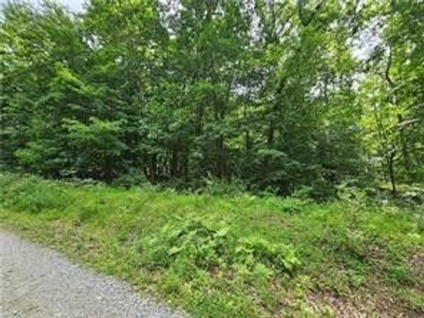Lot 17/18 Tanager, New Alexandria, PA 15670
