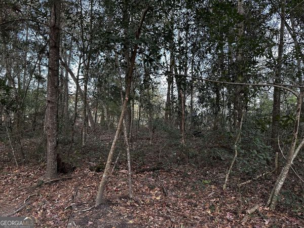 0 Marcia Avenue, Thomasville, GA 31792