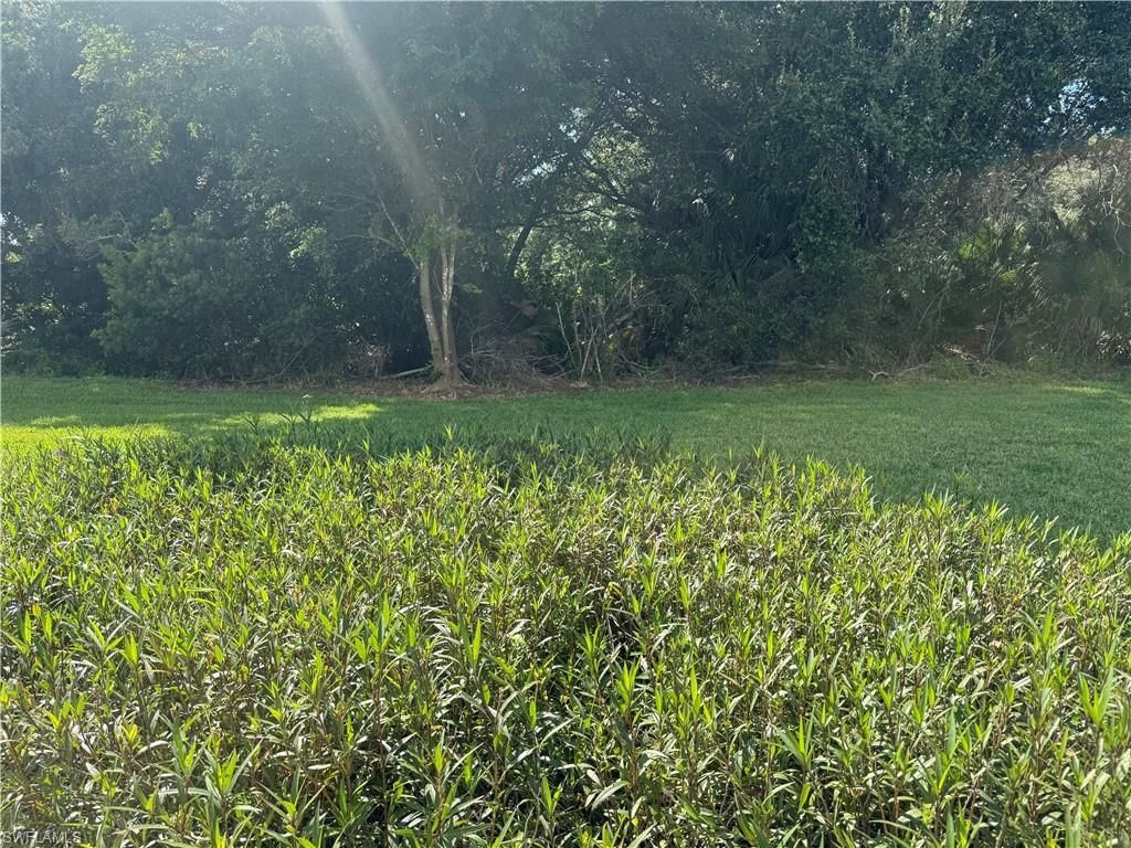 10808 Marble Brook Blvd, Lehigh Acres, FL 33936 Photo