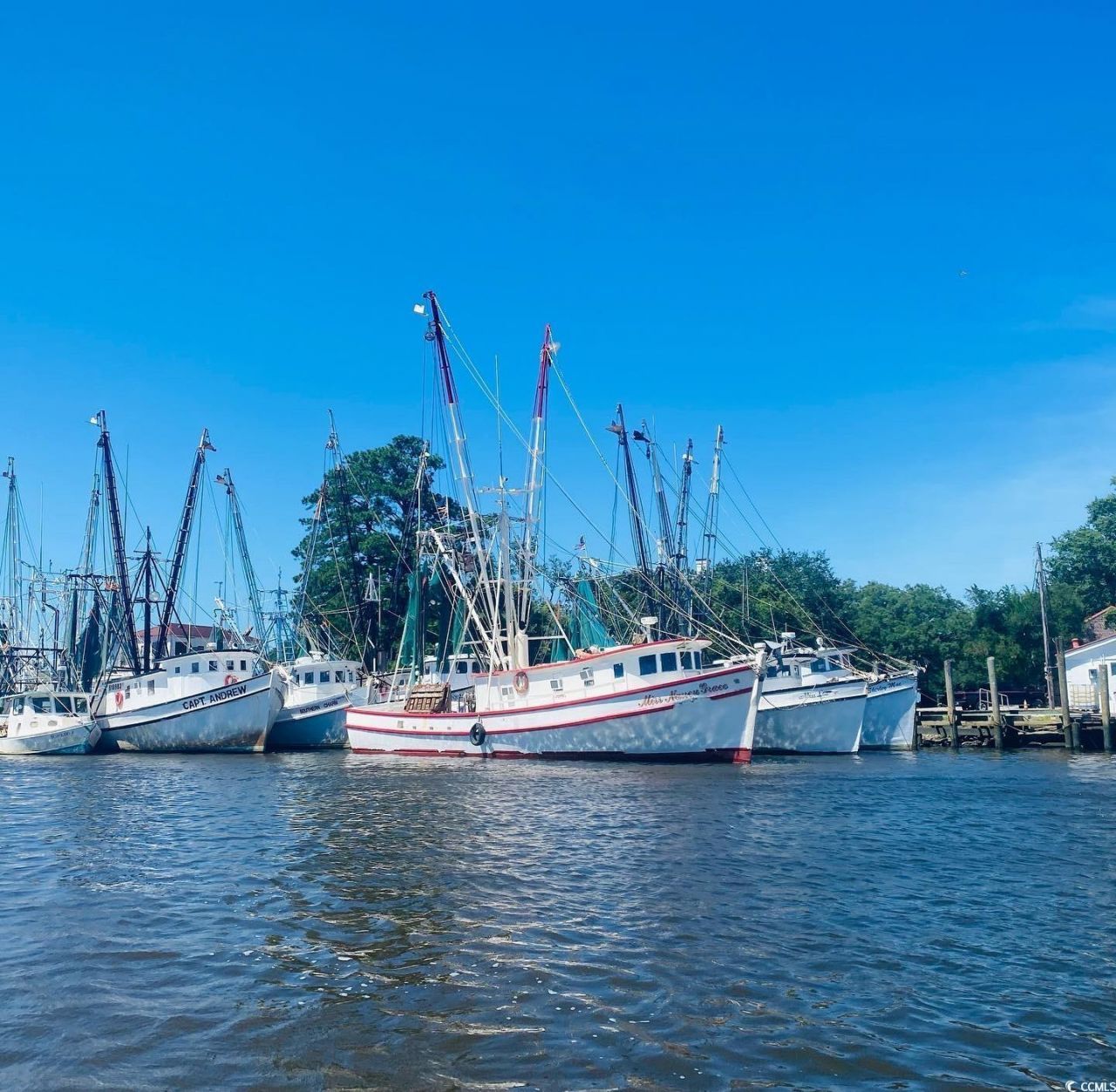 31 Haig Ct. Photo 39