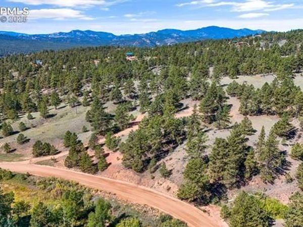 163 Valley View Drive, Florissant, CO 80816