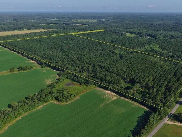 0 CO 147 Highway, Laurel Hill, FL 32567