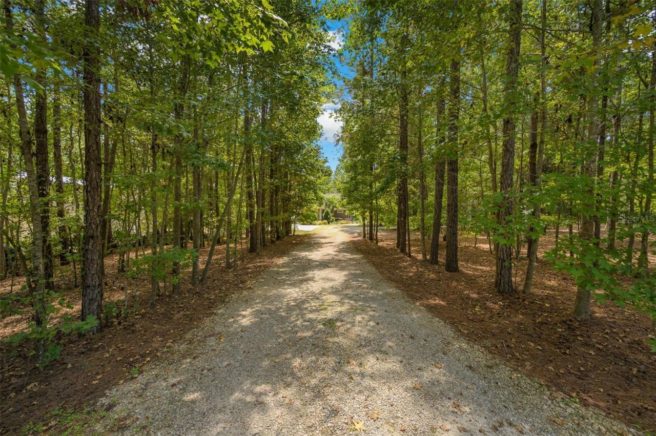 10117 NW 132 Drive, Alachua, FL 32615 Photo