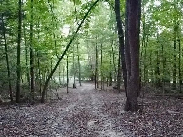 0 Sales Landing Rd, Camden, TN 38320