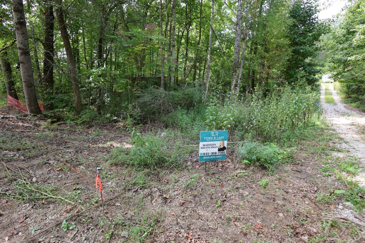 245 Woolf Pass Ln, Sparta, TN 38583 Main Photo