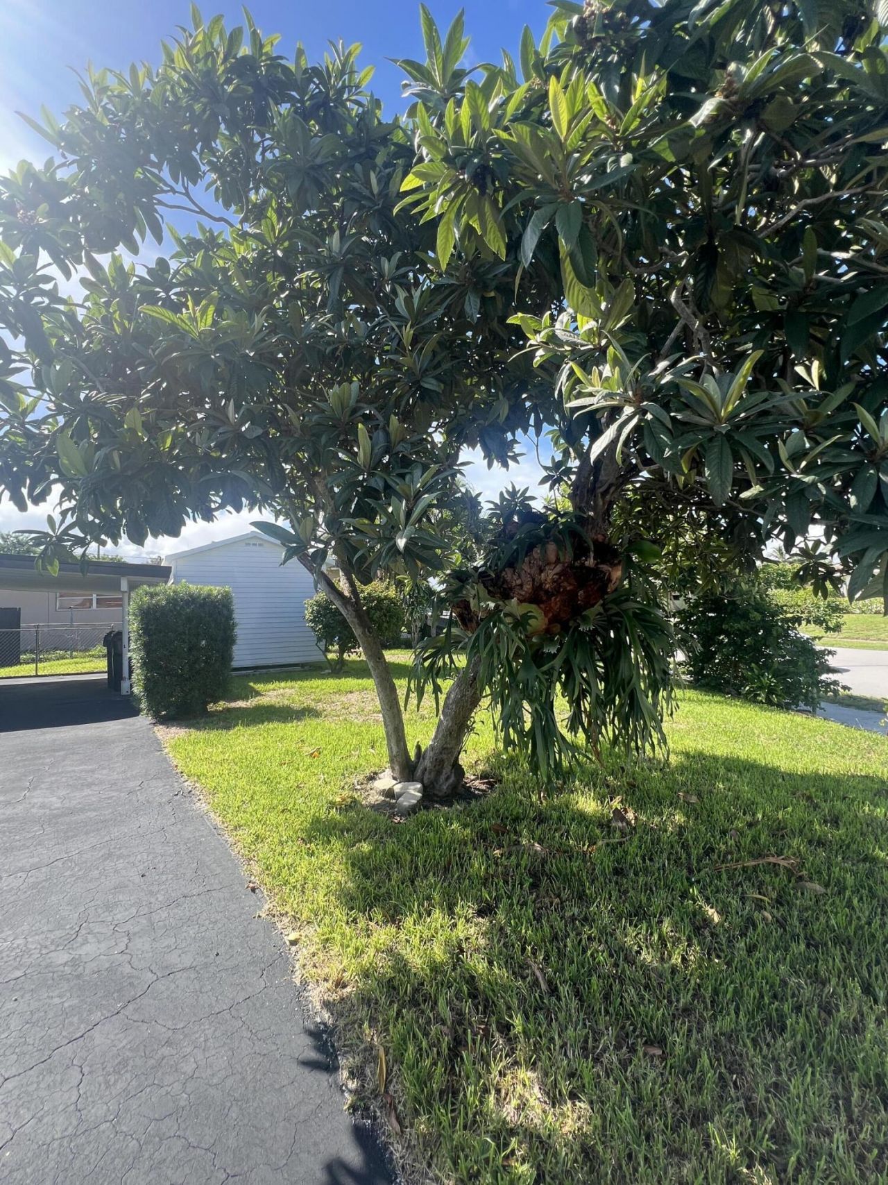 1319 Crest Drive, Lake Worth Beach, FL 33461 Photo