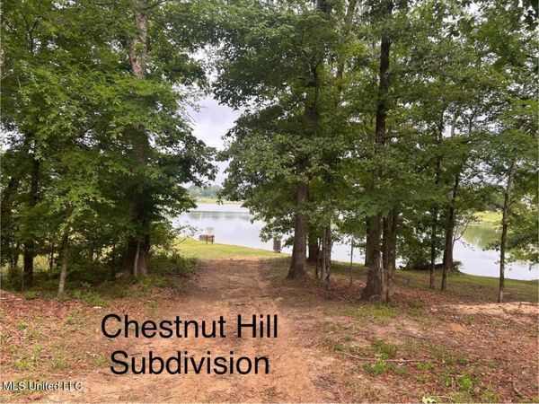 Chestnut Hill, Flora, MS 39071